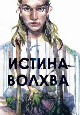 Максим Лисин Истина волхва обложка книги