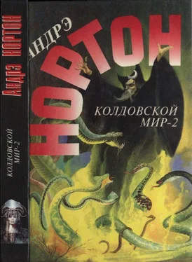 Андрэ Нортон Колдовской мир — 2 (Поворот): Бури победы обложка книги