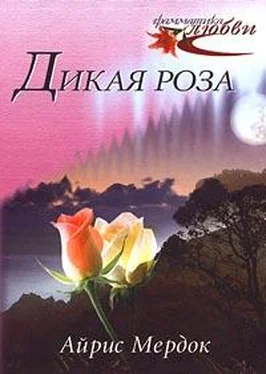 Айрис Мэрдок Дикая роза обложка книги