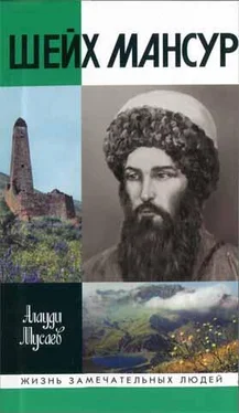 Алауди Мусаев Шейх Мансур обложка книги