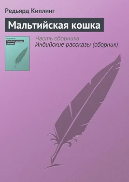 Редьярд Киплинг Мальтийская кошка обложка книги