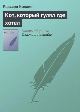 Редьярд Киплинг Кот, который гулял где хотел обложка книги