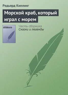 Редьярд Киплинг Морской краб, который играл с морем обложка книги