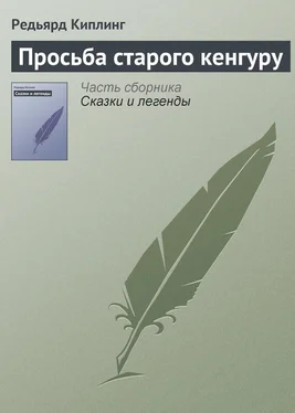 Редьярд Киплинг Просьба старого кенгуру обложка книги