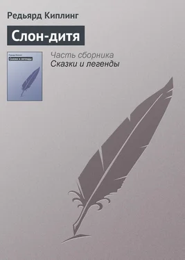 Редьярд Киплинг Слон-дитя обложка книги