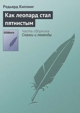 Редьярд Киплинг Как леопард стал пятнистым обложка книги