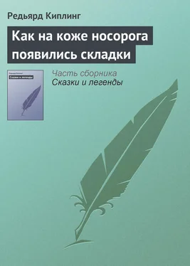 Редьярд Киплинг Как на коже носорога появились складки обложка книги