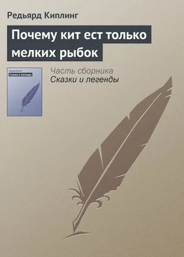 Редьярд Киплинг Почему кит ест только мелких рыбок обложка книги