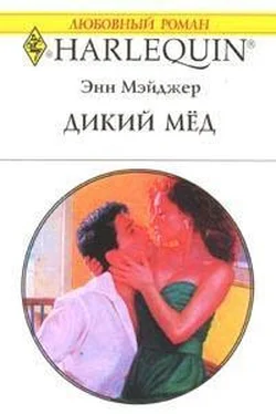 Энн Мэйджер Дикий мед обложка книги