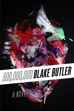 Blake Butler Three Hundred Million: A Novel обложка книги