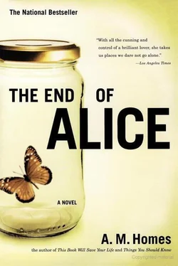 A. Homes The End of Alice обложка книги