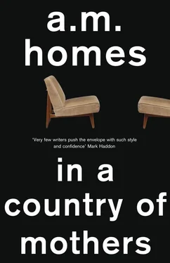 A. Homes In A Country Of Mothers обложка книги