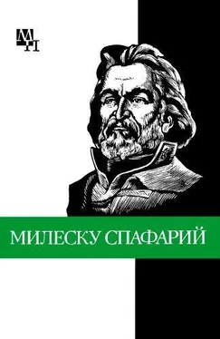 Дмитрий Урсул Николай Гаврилович Милеску Спафарий обложка книги