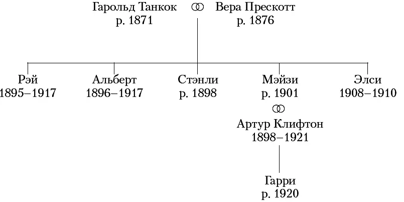 Мэйзи Клифтон 1919 Вступление Эта история никогда не была бы написана если бы - фото 2