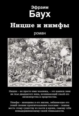 Эфраим Баух Ницше и нимфы обложка книги