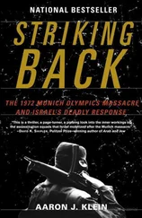 Aaron Klein - Striking Back