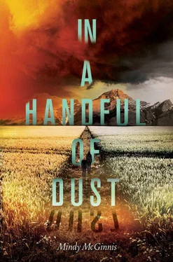 Mindy McGinnis In a Handful of Dust обложка книги