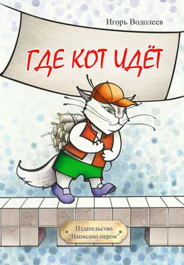 Игорь Водолеев Где кот идет (сборник)