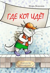 Игорь Водолеев - Где кот идет (сборник)