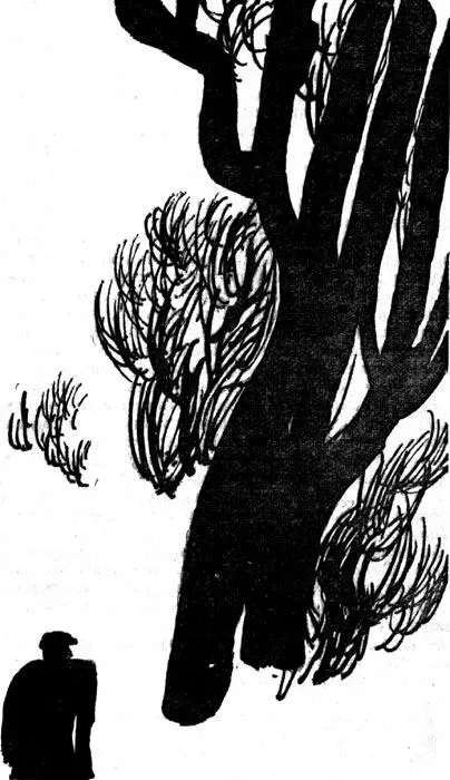 Итак он заснул Потому что принятое снотворное упакованные чемоданы возле - фото 15