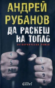 Андрей Рубанов Да раснеш на топло обложка книги