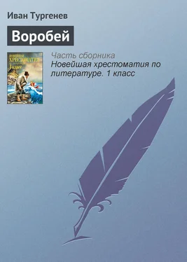 Иван Тургенев Воробей обложка книги