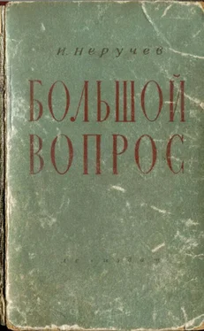 Иван Неручев Большой вопрос обложка книги