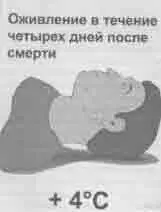Да это так Может быть стоит создать усилитель сверхвысоких частот для - фото 12