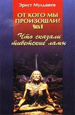 Эрнст Мулдашев Что сказали тибетские ламы обложка книги