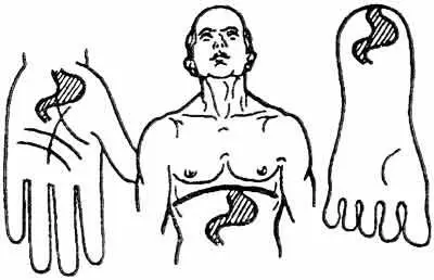 Рис 131 Проекционные зоны желудка на кисти и стопе эти зоны можно - фото 144