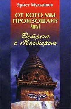 Эрнст Мулдашев Встреча с мастером обложка книги