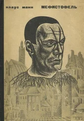 Клаус Манн - Мефистофель. История одной карьеры