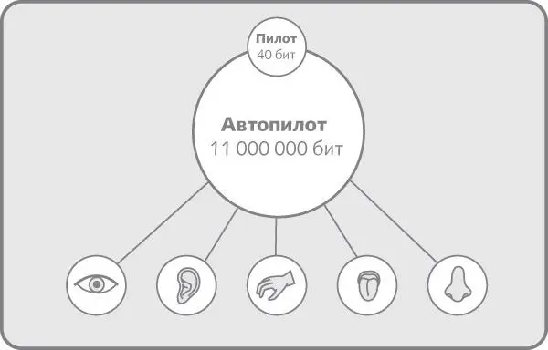 Рис 16Огромная производительность автопилота позволяет обрабатывать всю - фото 6