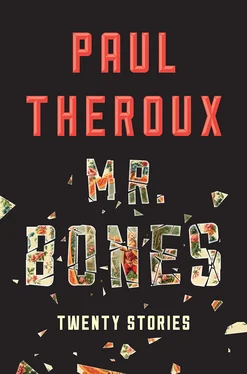 Paul Theroux Mr. Bones: Twenty Stories обложка книги