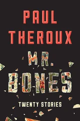 Paul Theroux - Mr. Bones - Twenty Stories