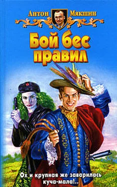 Антон Мякшин Бой бес правил обложка книги