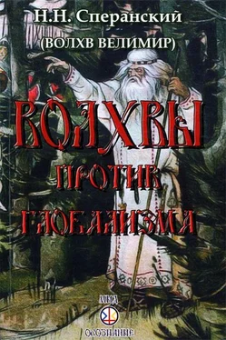 Николай Сперанский (Велимир) Волхвы против глобализма обложка книги