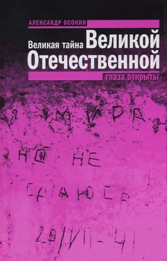 Александр Осокин Великая тайна Великой Отечественной. Глаза открыты обложка книги