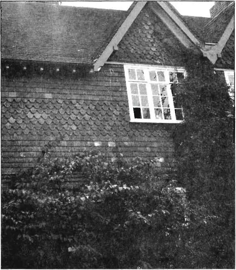 1093 this pattern finishes the wall membranes 218 and roof vaults - фото 124