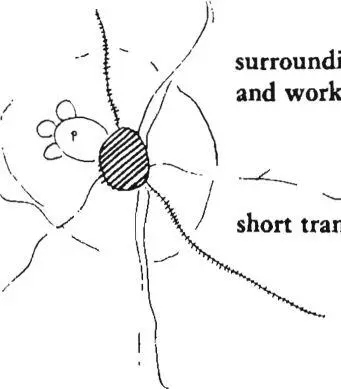 continuous pedestrian network surrounding housing and work places short - фото 264