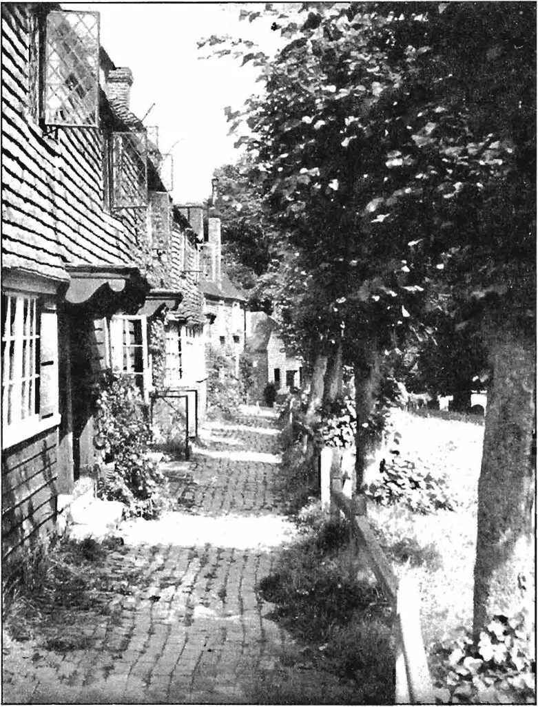 204 in certain parts of a community the detached homes and gardens of a - фото 274