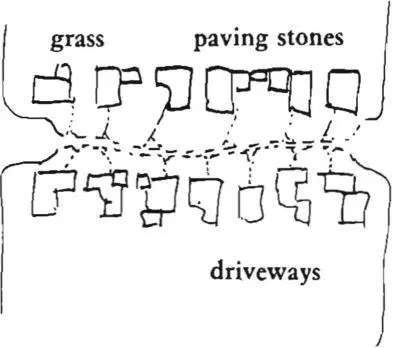 5 On local roads closed to through traffic plant grass all over the road - фото 319