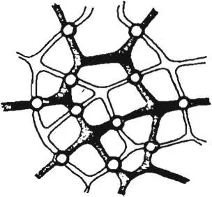 Two orthogonal networks In practice there are several possible ways of - фото 322