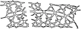 Pedestrian falhs The two together In all these cases we see a - фото 326