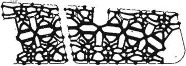 The two together In all these cases we see a global pattern in which - фото 327