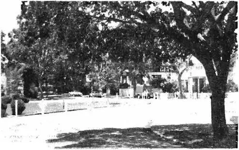Berkeley street transjormed to neighborhood commons Therefore Give over - фото 371