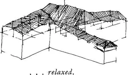 where they occur Obviously this aspect of the roof will vary from climate to - фото 76
