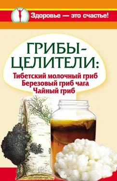 Анна Чуднова Грибы-целители. Тибетский молочный гриб. Березовый гриб чага. Чайный гриб обложка книги