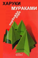 Харуки Мураками - Норвежка гора