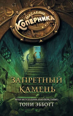 Тони Эбботт Запретный камень обложка книги